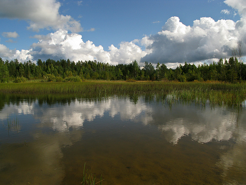 Lahemaa National Park